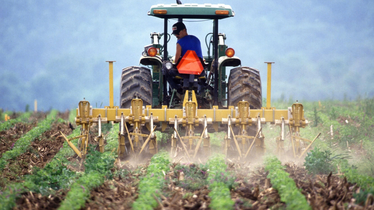 Les investissements chinois contribueront au développement agricole du Nigéria