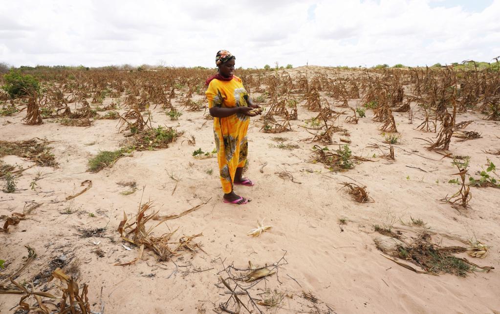 Un demi-million d’enfants souffrent de malnutrition au Kenya